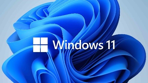 Logo van Windows 11