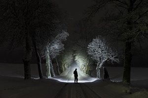 Iemand die in de nacht over een bosweg loopt