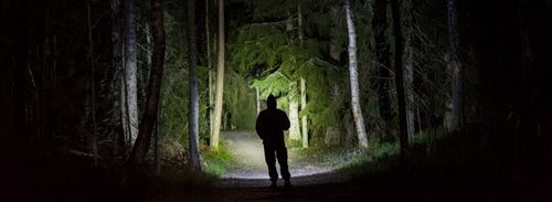 Man die met zaklamp op een bospad
loopt