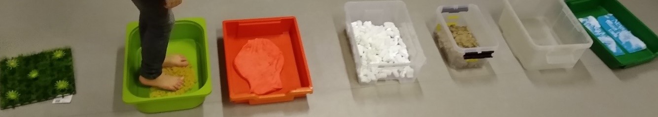 zeven plastic bakken op een rij gevuld met verschillende senspopatische
materialen