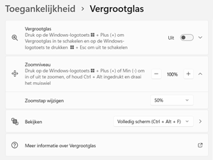 De instellingen van het Windows 11 Vergrootglas