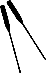 schematische weergave van twee
roeiriemen