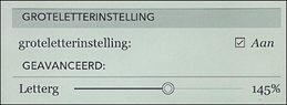 De groteletterinstelling van de Kobo Libra 2
eReader