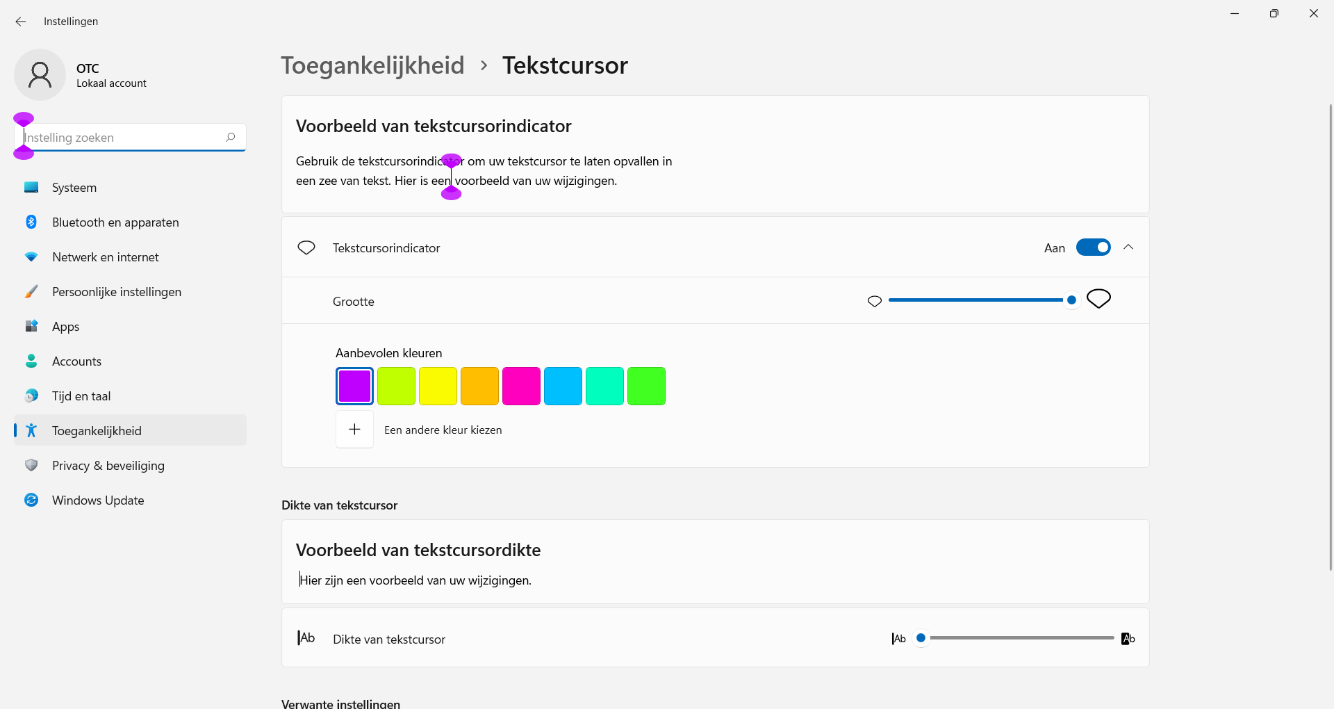 De tekstcursor instellen