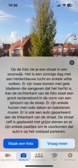 Voorbeeld van een beschrijving van Be My
AI.