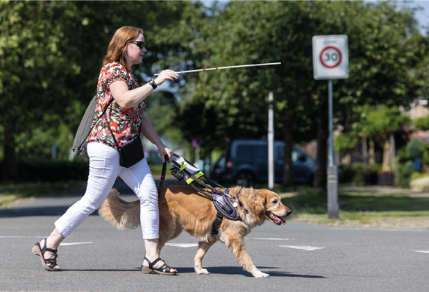 Vrouw die de straat oversteekt met behulp van haar
blindengeleidehond