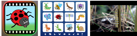 logo van de app Videotouch insecten en vrienden: een lieveheersbeestje, daarnaast afbeelding van het keuze menu van 12 insecten en een foto van een rups