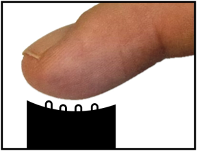 Schematische afbeelding van een concave braillecel, die de ronding van een
vingertop aanneemt
