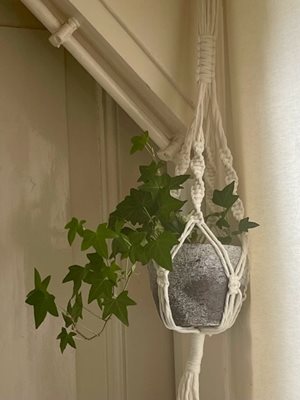 Macramé plantenhanger